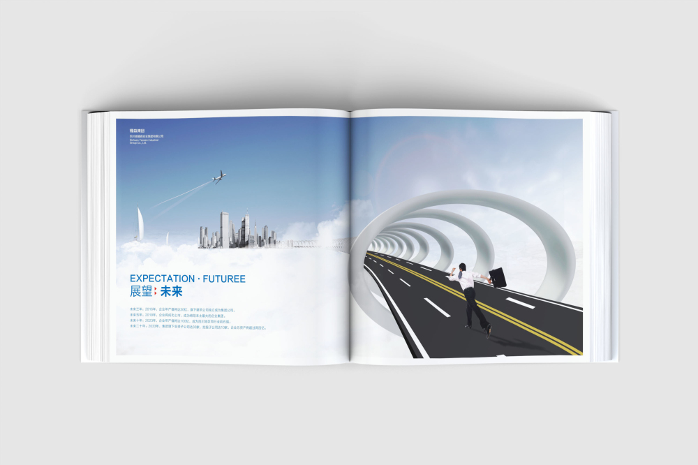 上虞市画册设计